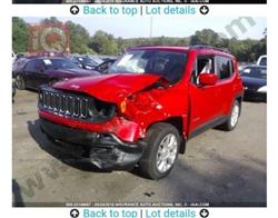 جيب رينيجيد